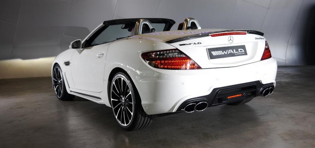 MERCEDES-BENZ SLK BLACK BISON BY WALD, foto 4