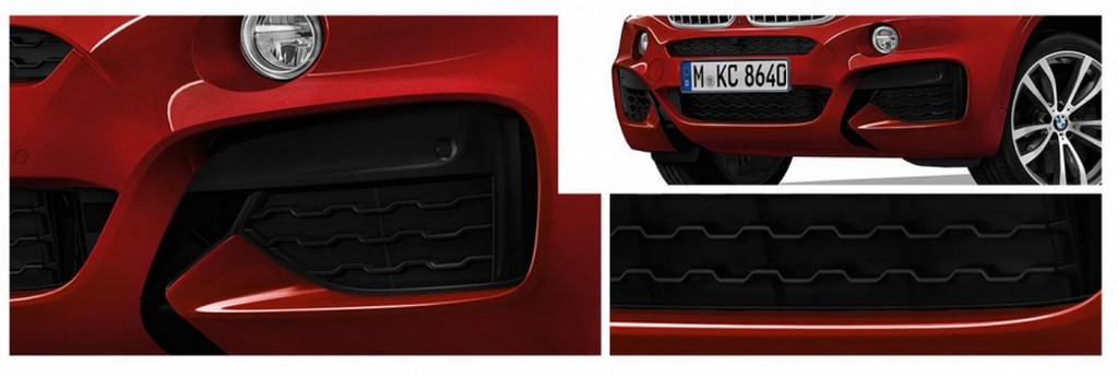 BMW X6 M SERIES SPORT, foto 2
