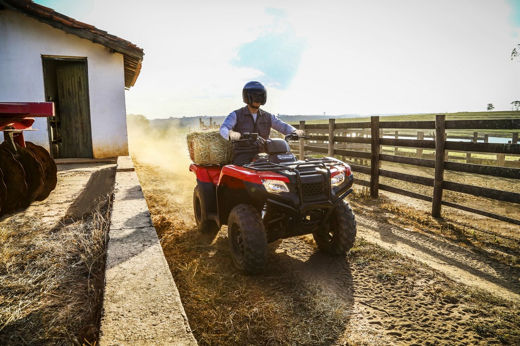 2014 - HONDA TRX 420 FOURTRAX, foto 6