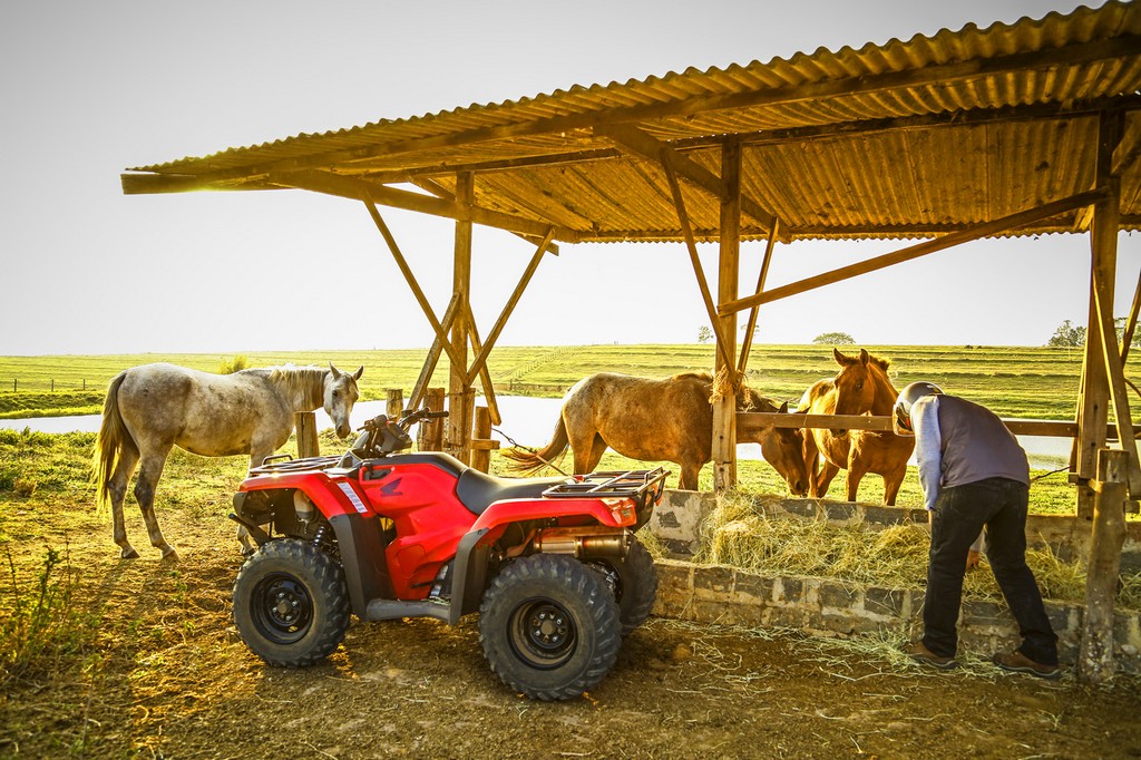 2014 - HONDA TRX 420 FOURTRAX, foto 8