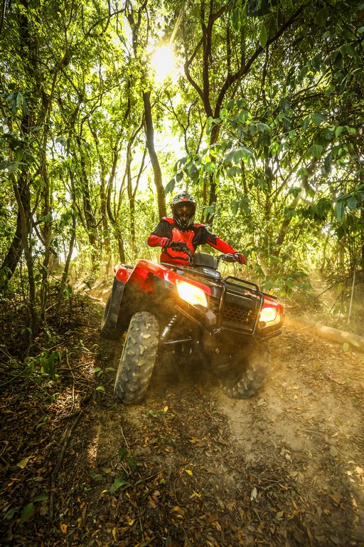 2014 - HONDA TRX 420 FOURTRAX, foto 9