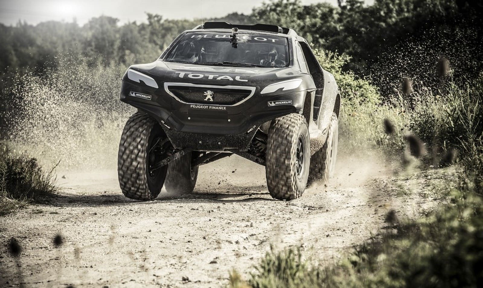2015 - PEUGEOT 2008 DKR, foto 14
