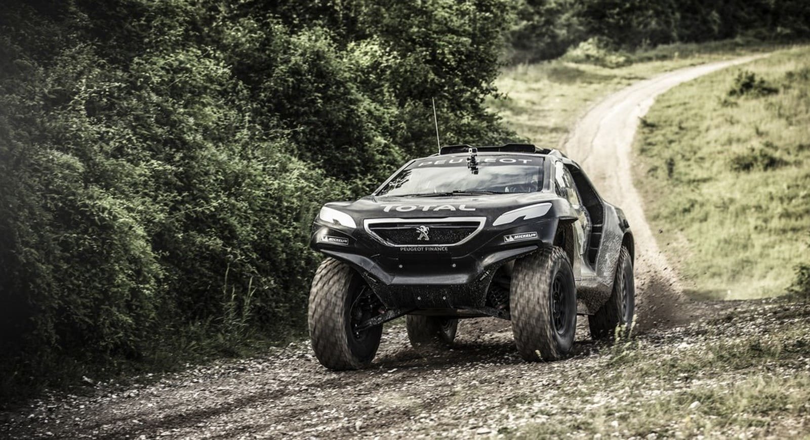 2015 - PEUGEOT 2008 DKR, foto 15