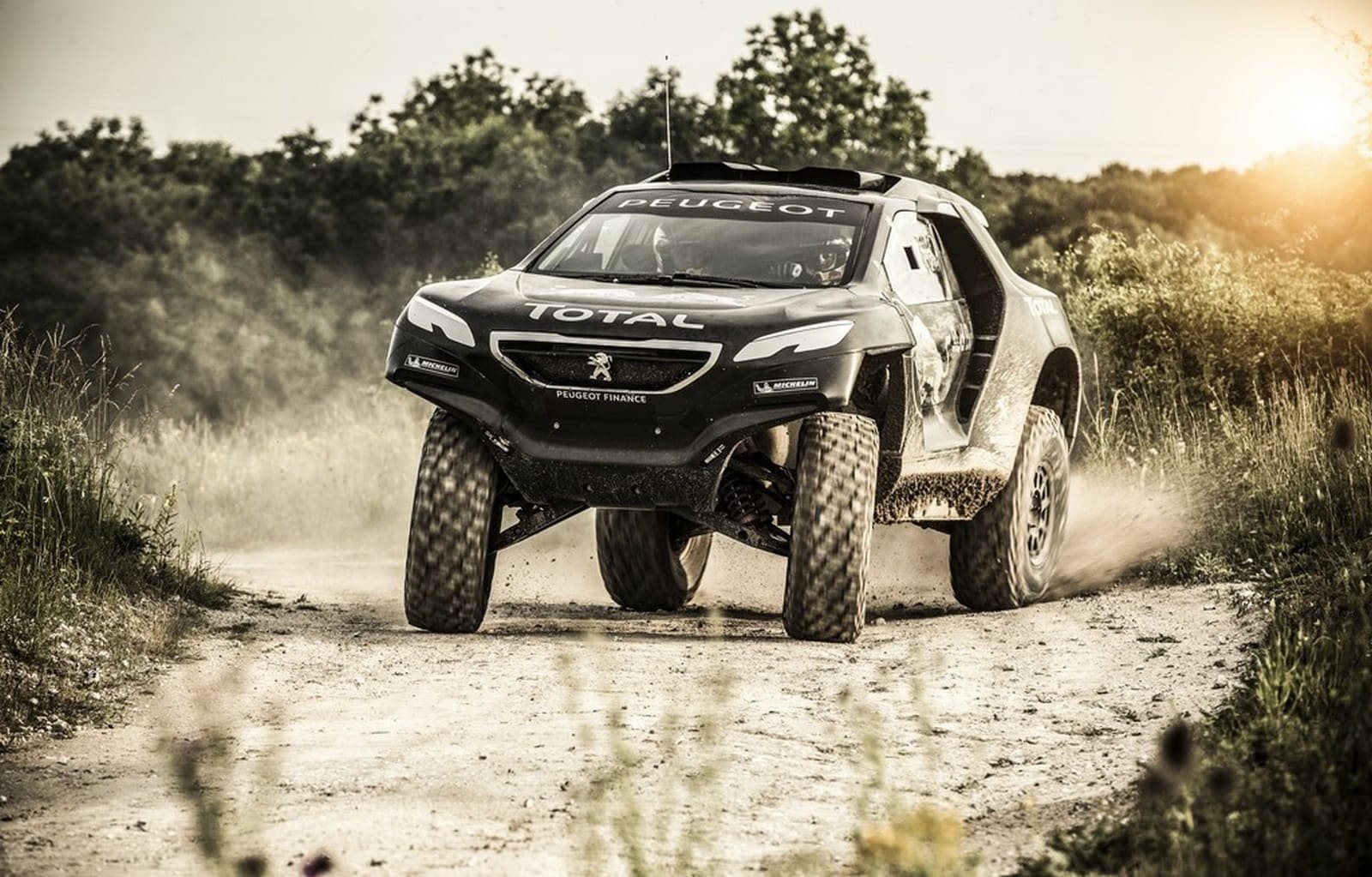 2015 - PEUGEOT 2008 DKR, foto 17