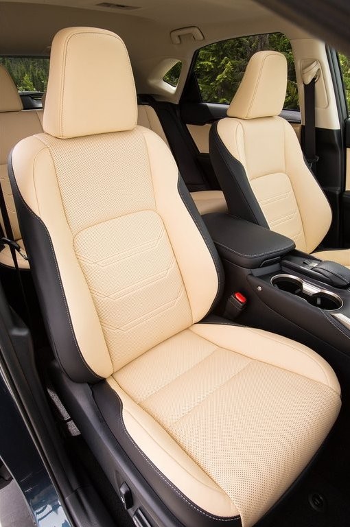 LEXUS NX, foto 220