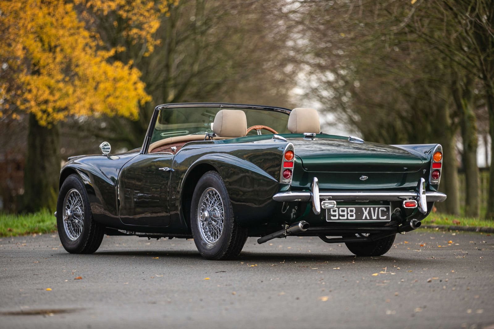 DAIMLER DART SP250 BRITISH RACING GREEN, foto 2