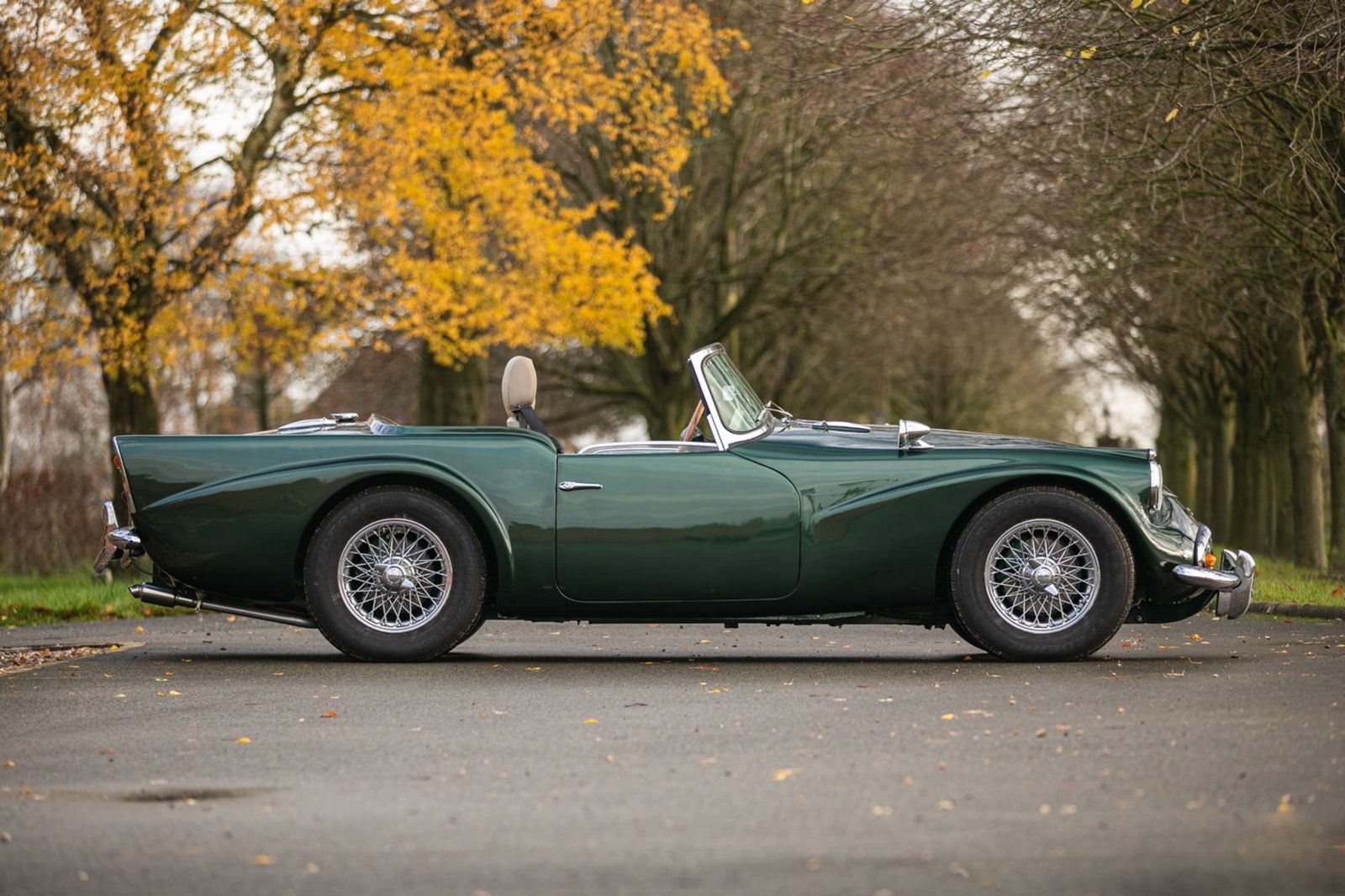 DAIMLER DART SP250 BRITISH RACING GREEN, foto 3