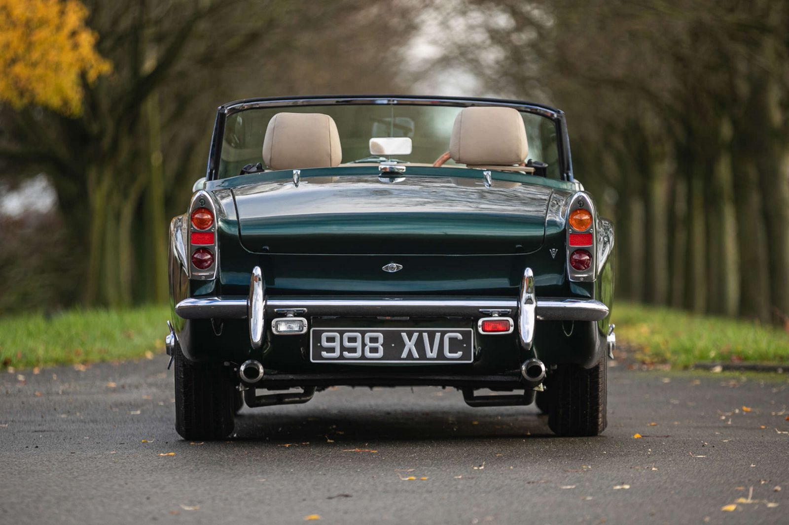DAIMLER DART SP250 BRITISH RACING GREEN, foto 5