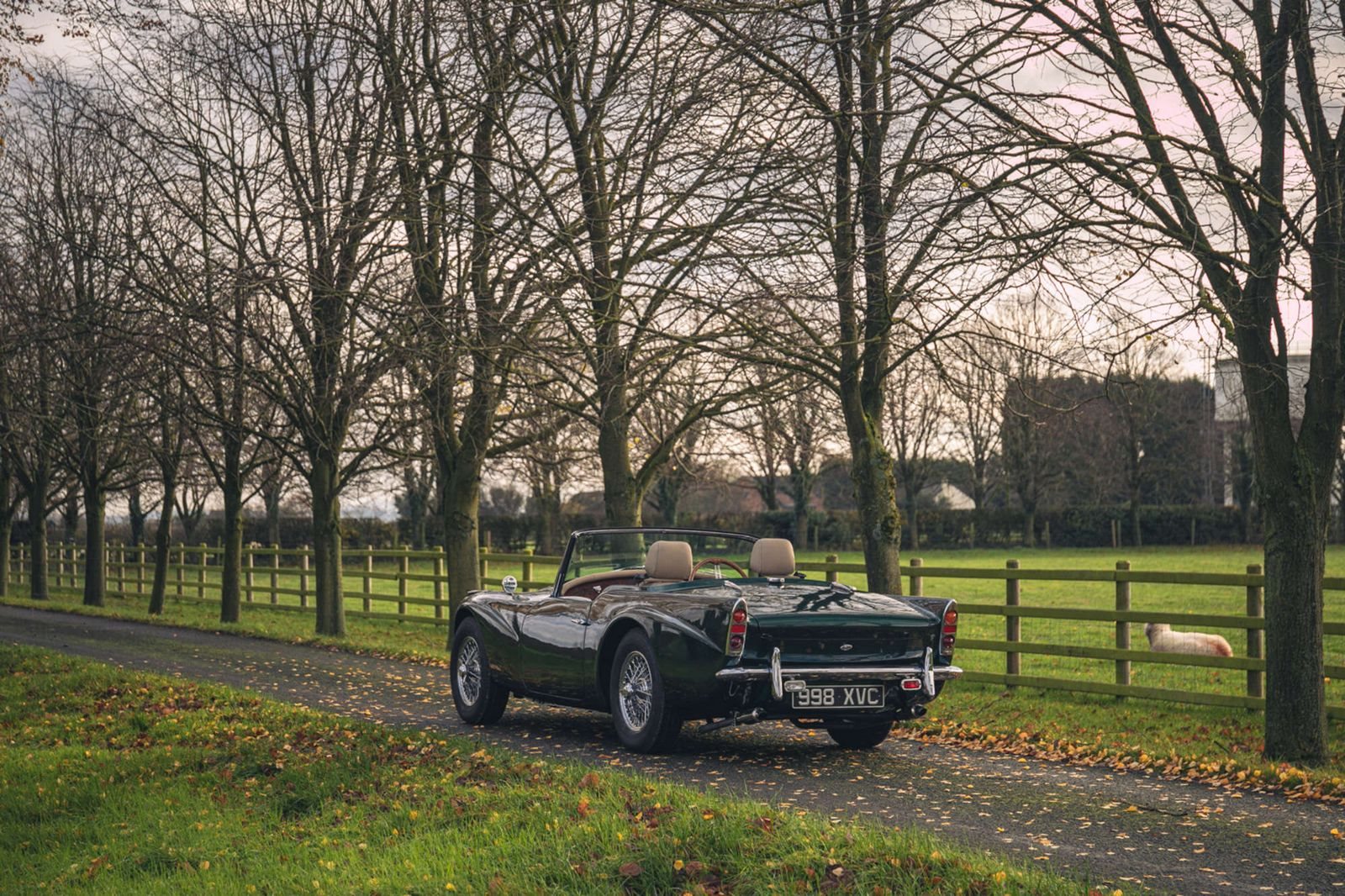 DAIMLER DART SP250 BRITISH RACING GREEN, foto 9