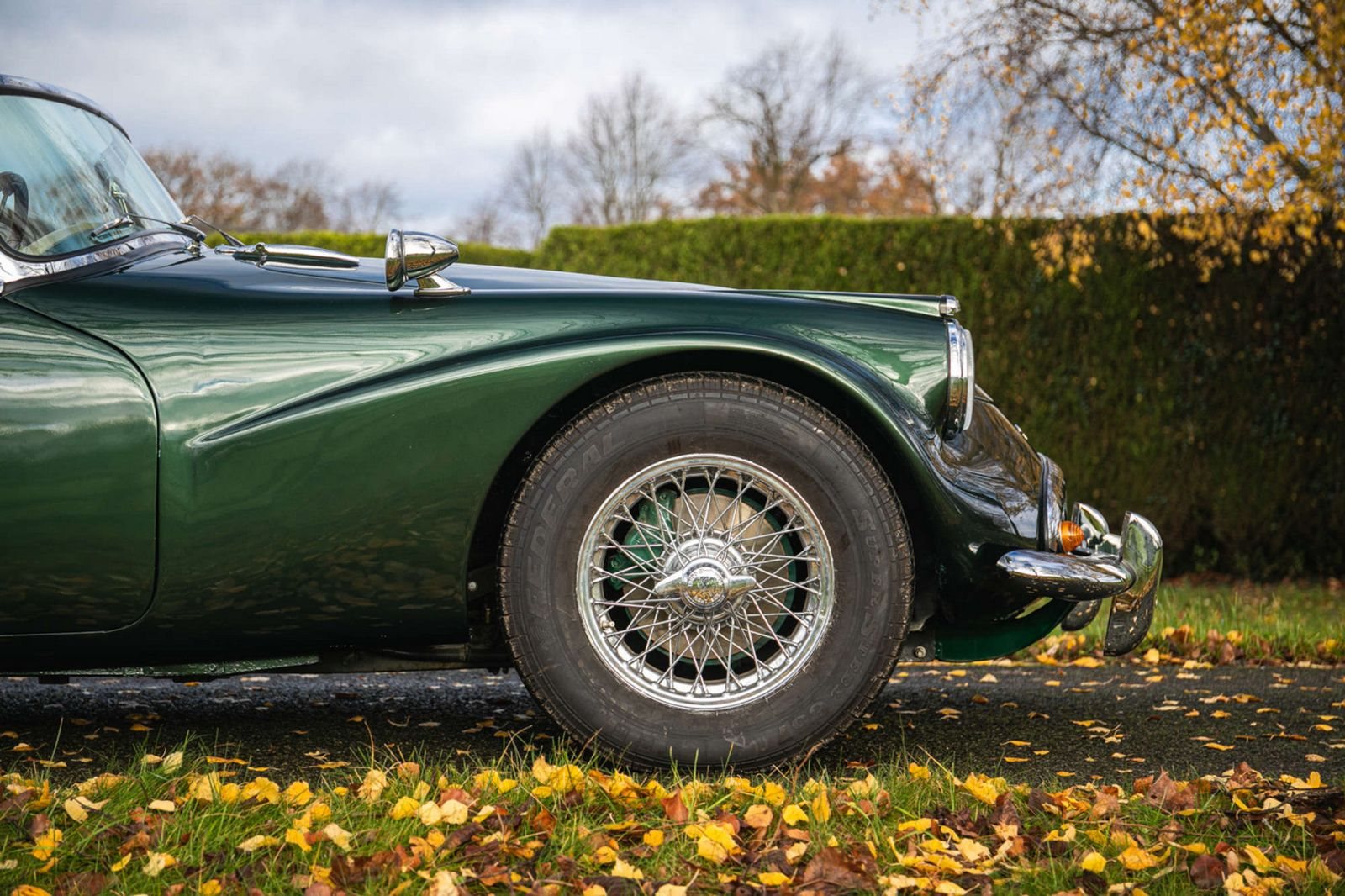 DAIMLER DART SP250 BRITISH RACING GREEN, foto 10