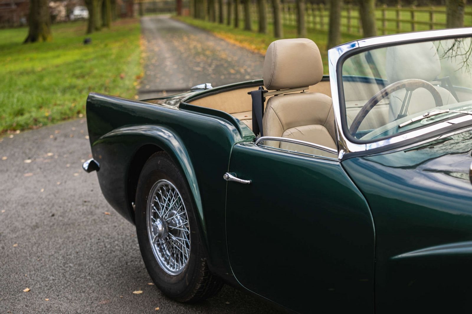 DAIMLER DART SP250 BRITISH RACING GREEN, foto 20
