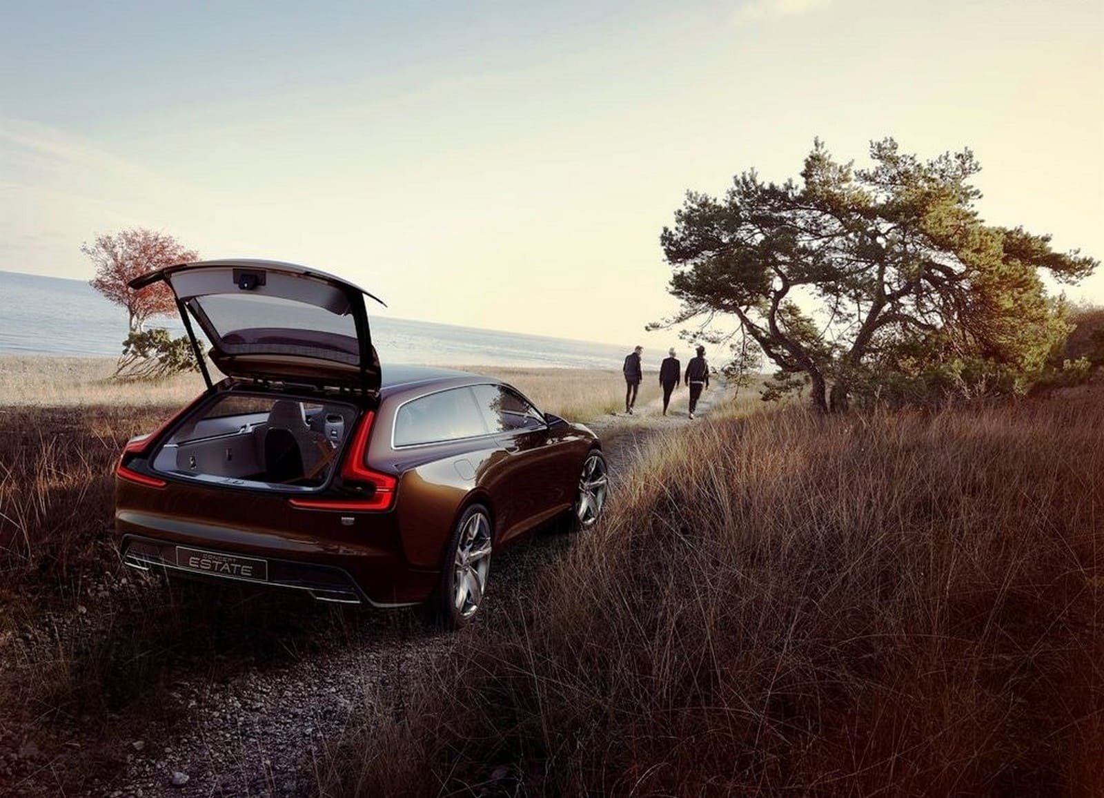 2014 - VOLVO CONCEPT ESTATE, foto 9