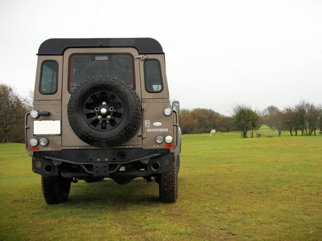 LAND ROVER DEFENDER BY WILDCAT, foto 6