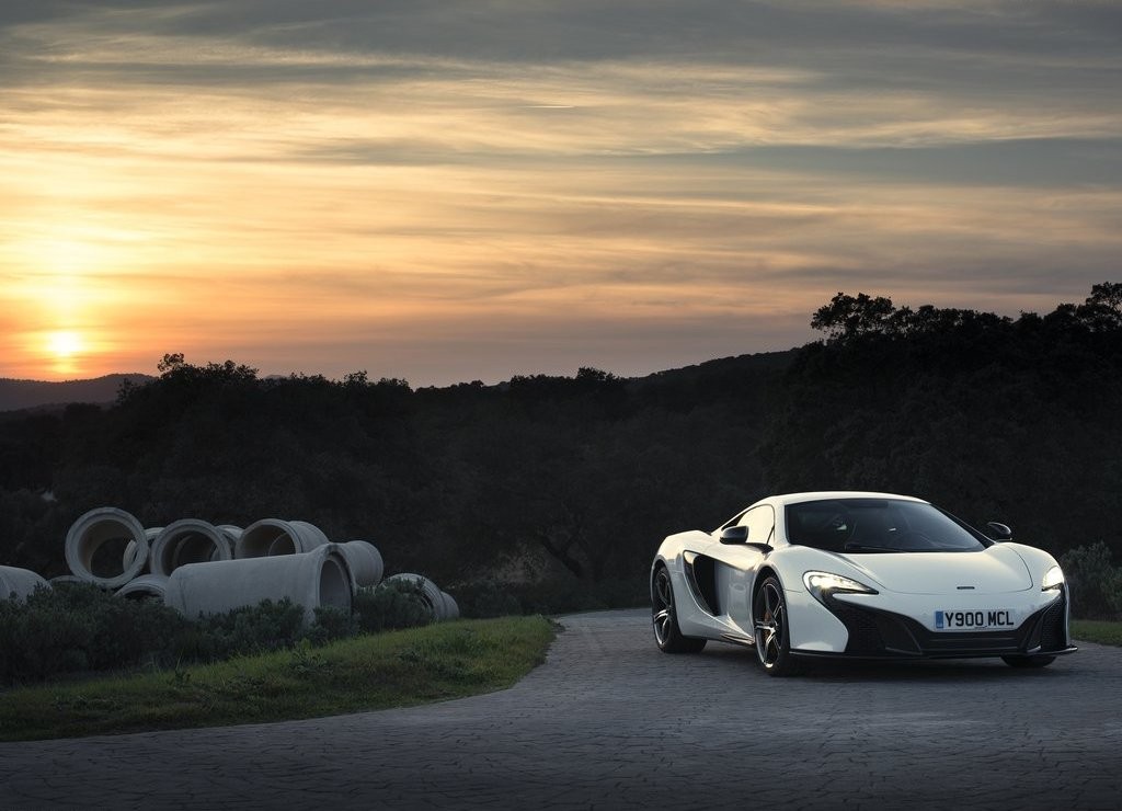 2015 - McLAREN 650S COUPE, foto 4