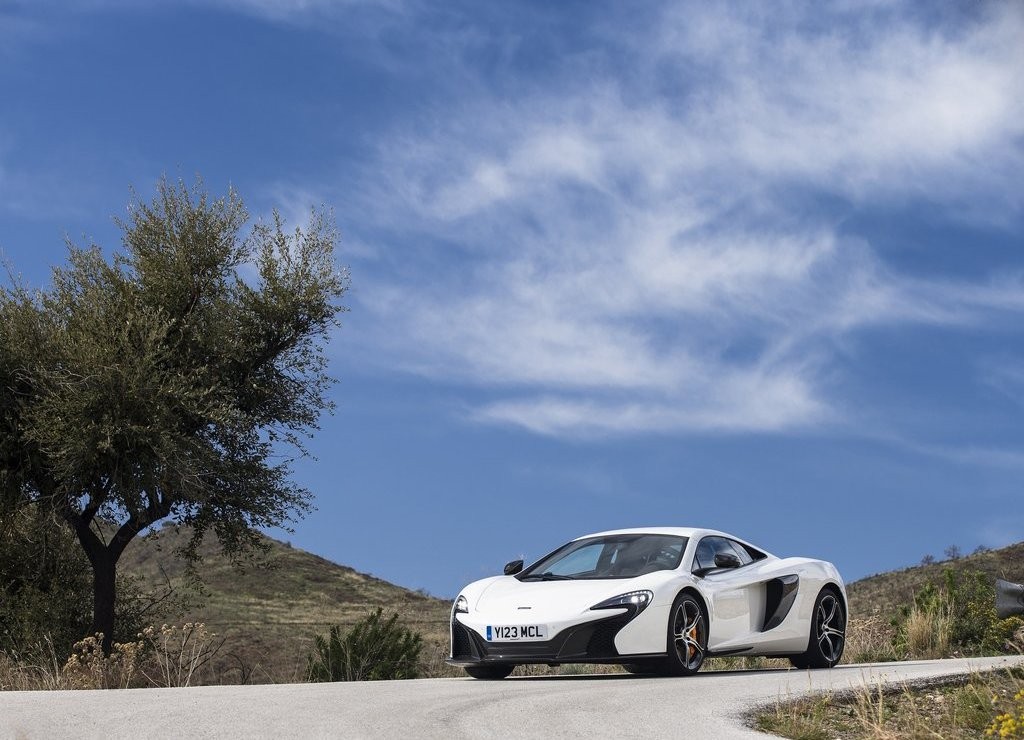 2015 - McLAREN 650S COUPE, foto 12