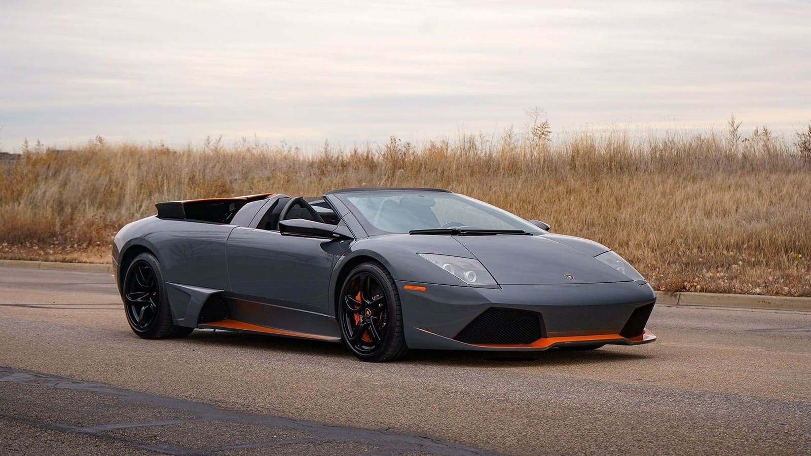 2010 - LAMBORGHINI MURCIÉLAGO LP650-4 ROADSTER, foto 14