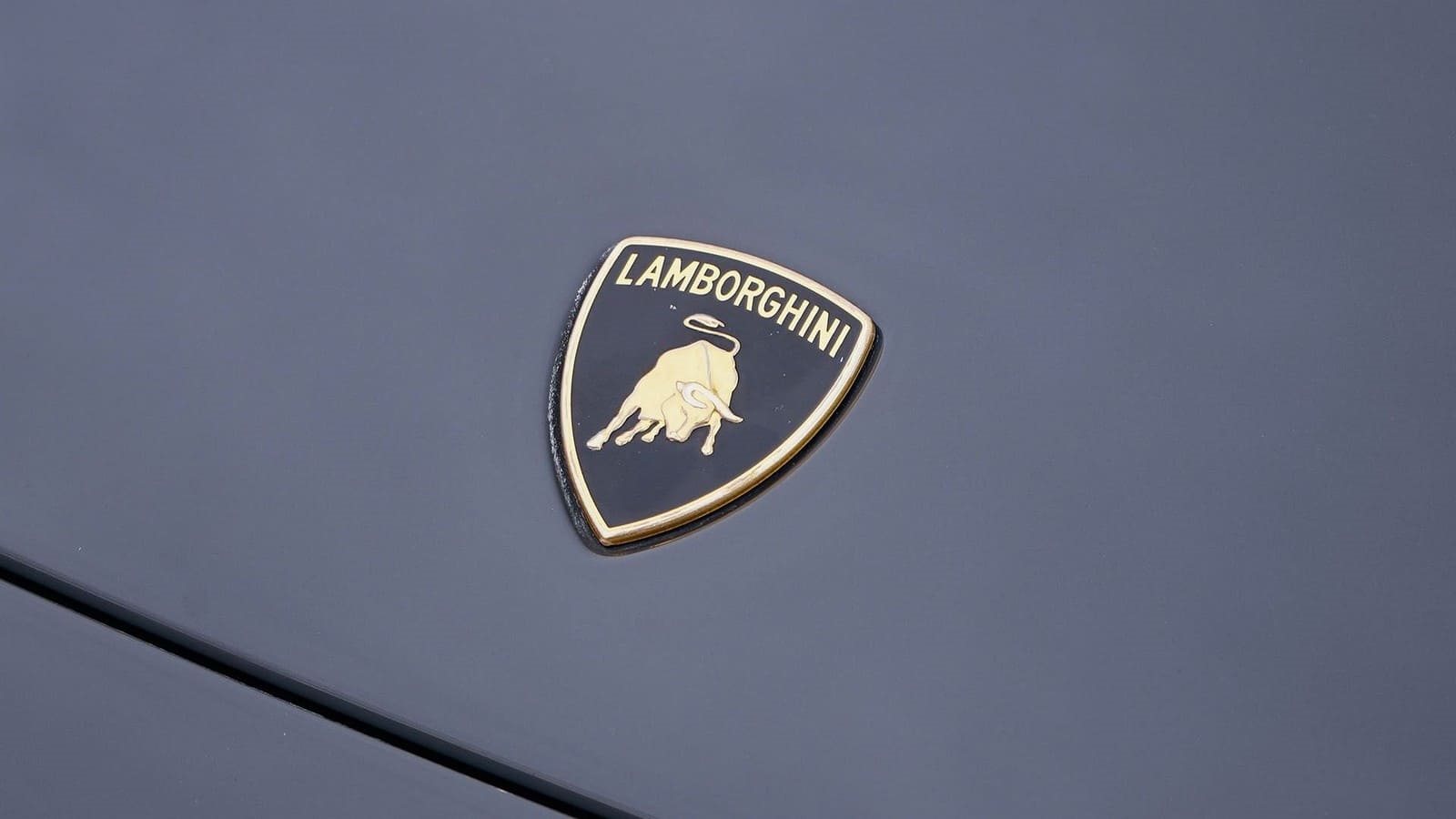 2010 - LAMBORGHINI MURCIÉLAGO LP650-4 ROADSTER, foto 22