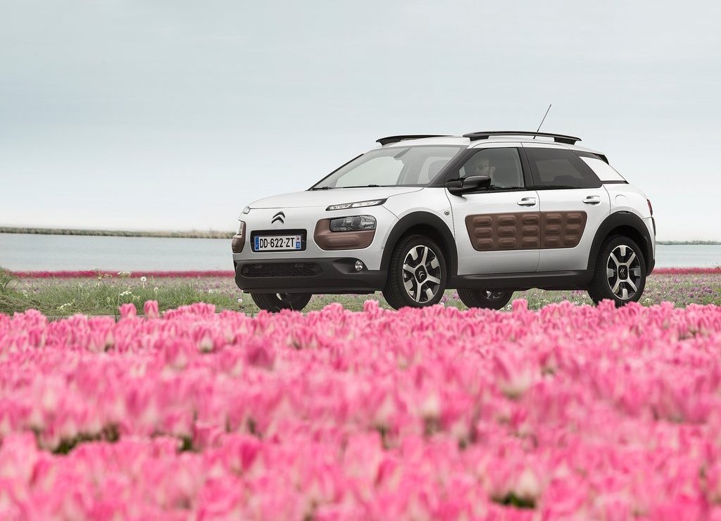 CITROËN C4 CACTUS, foto 10