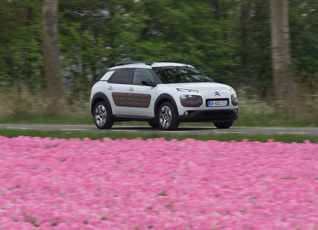 CITROËN C4 CACTUS, foto 12