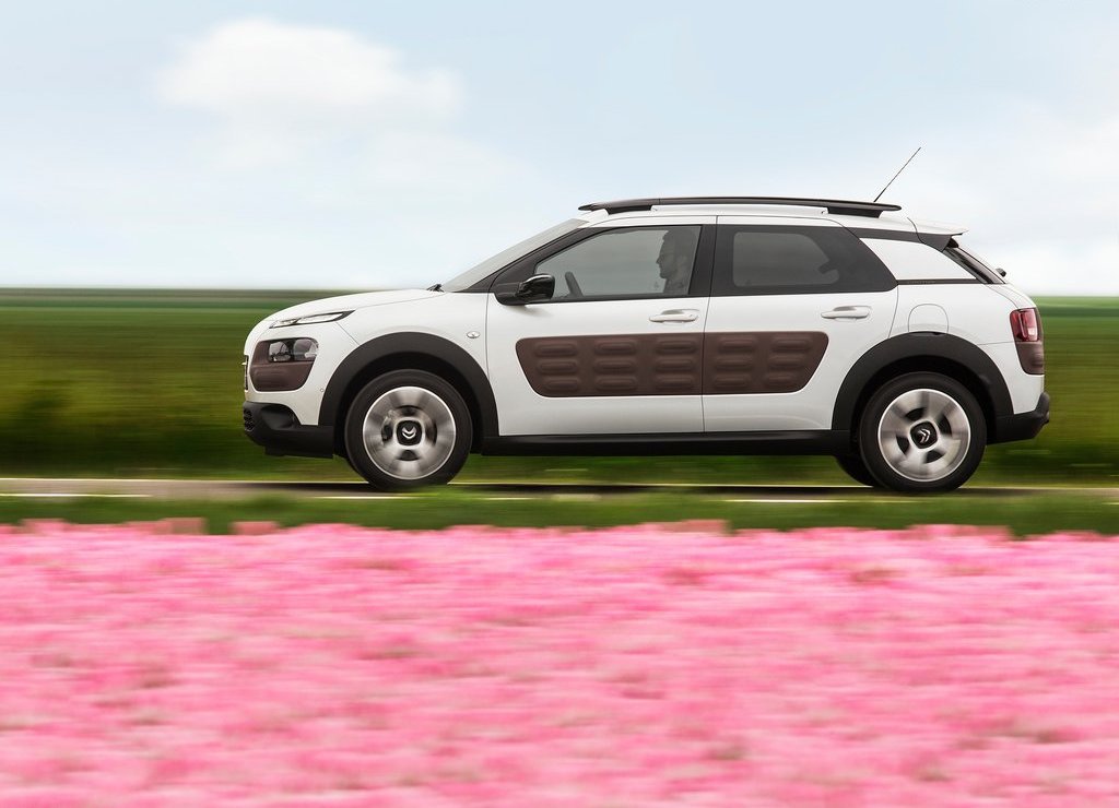 CITROËN C4 CACTUS, foto 27