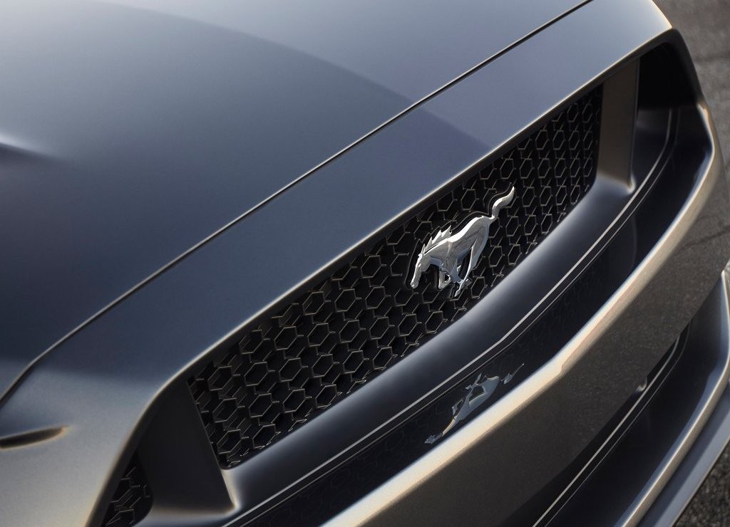 FORD MUSTANG CONVERTIBLE, foto 24