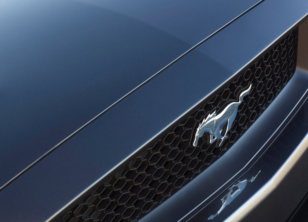 FORD MUSTANG CONVERTIBLE, foto 25