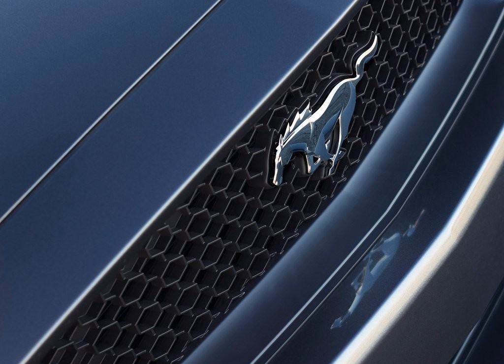 FORD MUSTANG CONVERTIBLE, foto 26