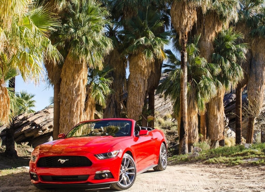 FORD MUSTANG CONVERTIBLE, foto 41