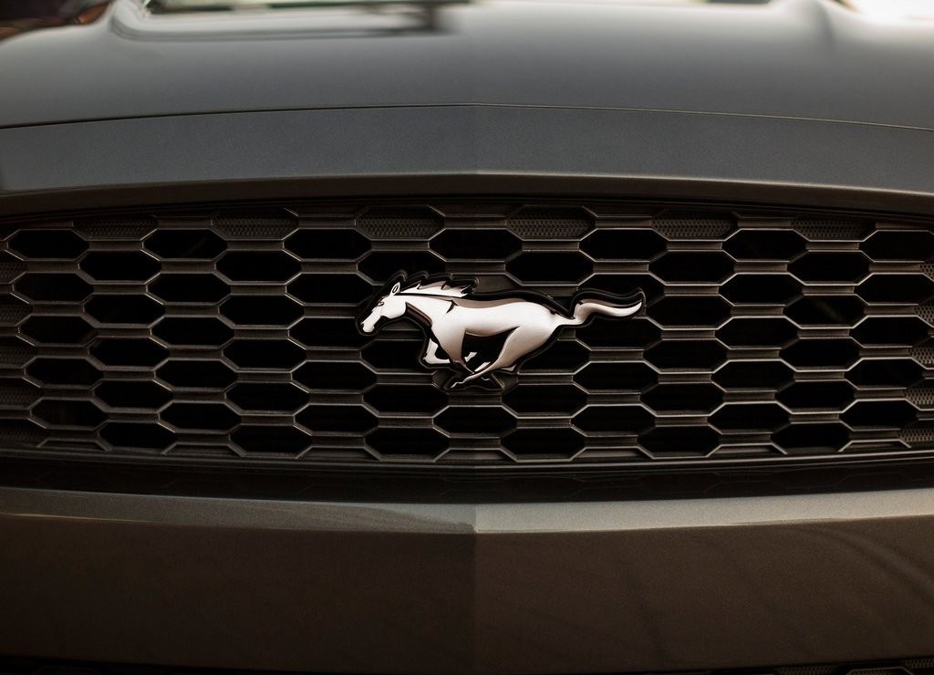 FORD MUSTANG CONVERTIBLE, foto 52