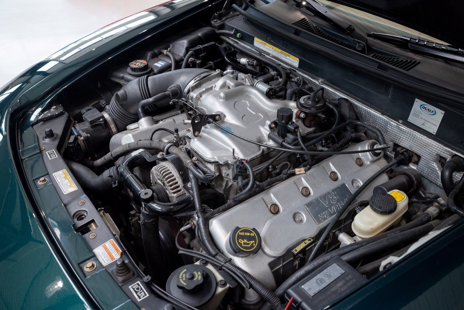 QVALE MANGUSTA, foto 23