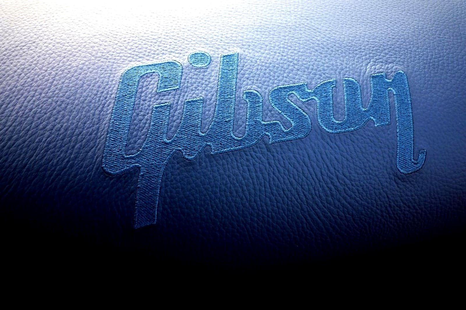 RENAULT WIND GORDINI BY GIBSON GUITARS, foto 13
