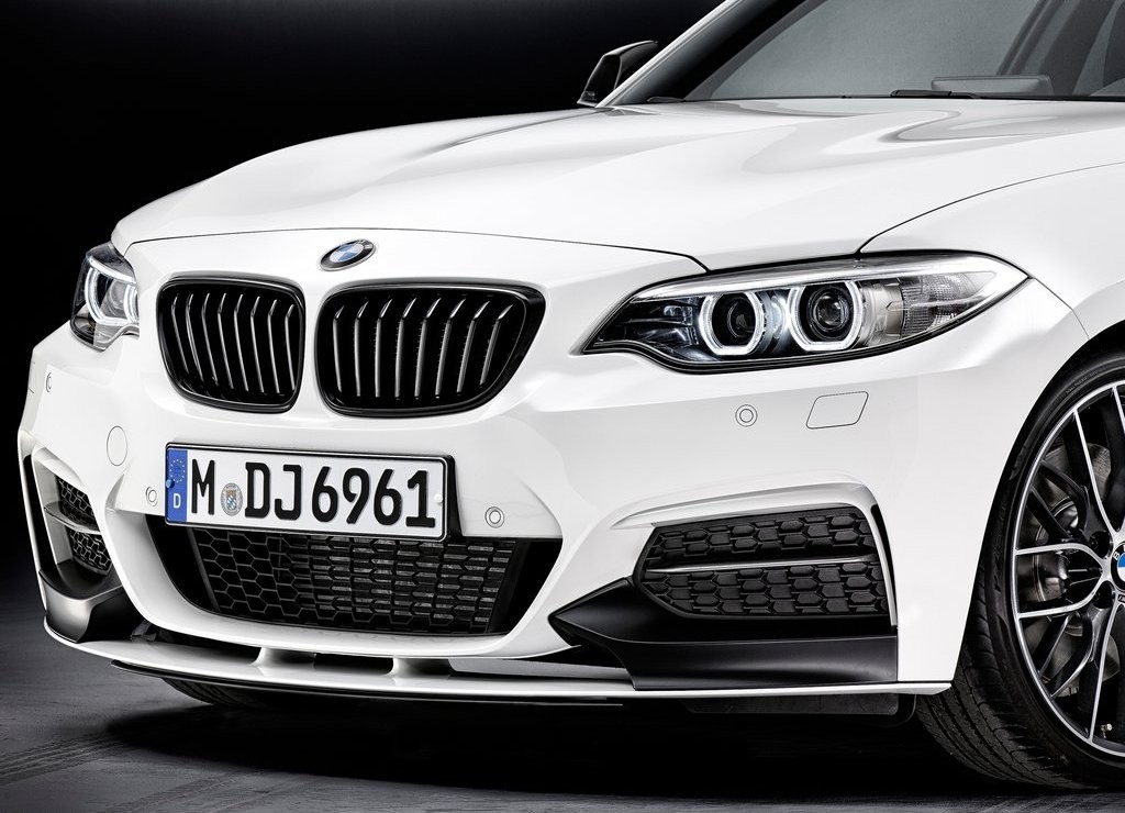 BMW 2 SERIES COUPE M PERFORMANCE, foto 10