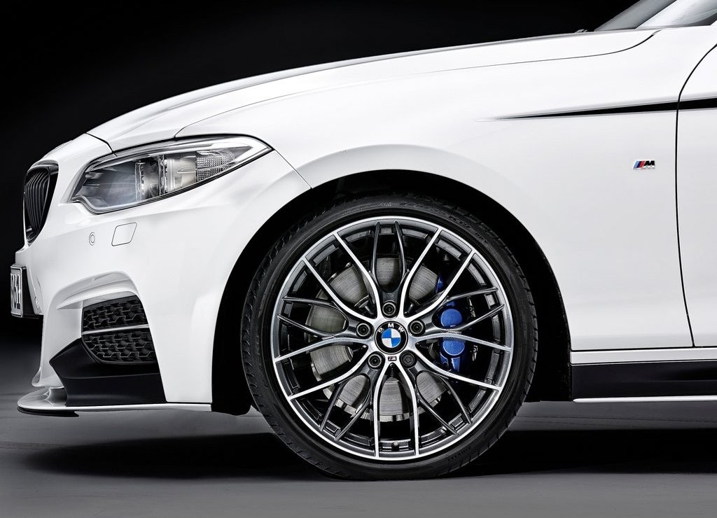 BMW 2 SERIES COUPE M PERFORMANCE, foto 11