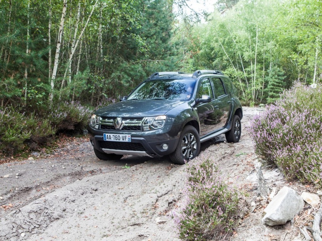 2014 - RENAULT DUSTER, foto 18