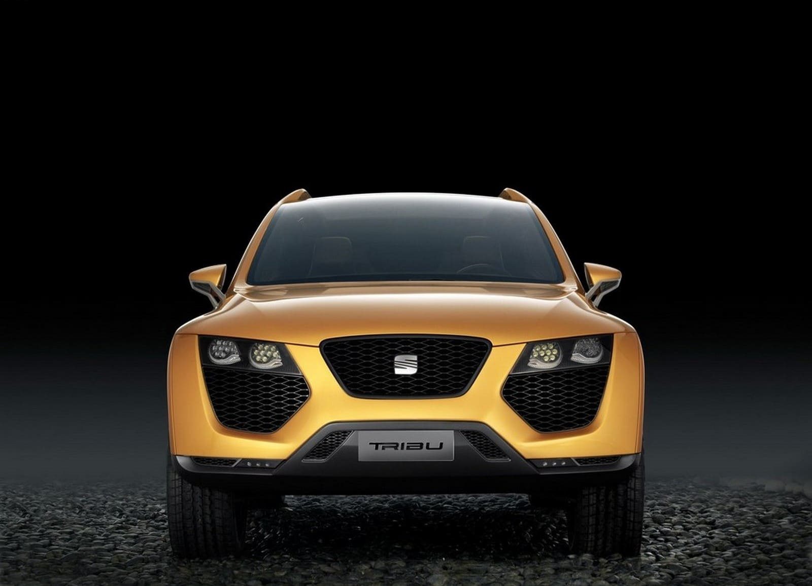 2007 - SEAT TRIBU CONCEPT, foto 11