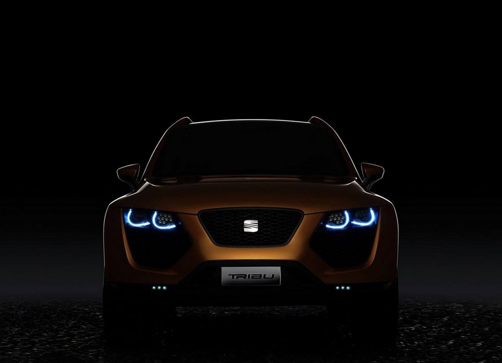 2007 - SEAT TRIBU CONCEPT, foto 13