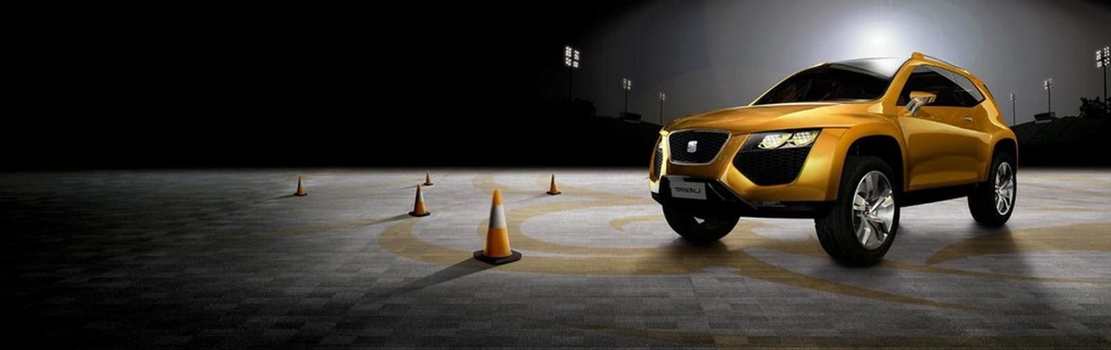 2007 - SEAT TRIBU CONCEPT, foto 23