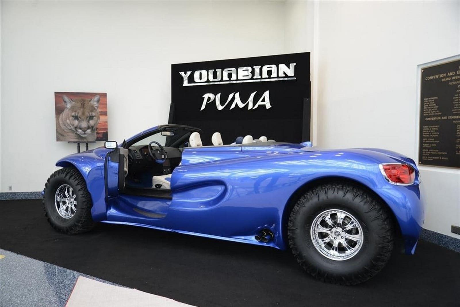YOUABIAN PUMA, foto 2