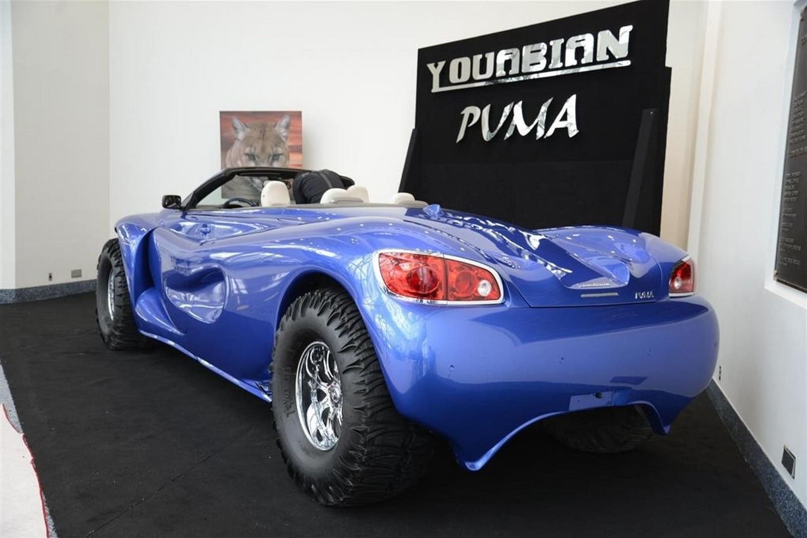 YOUABIAN PUMA, foto 3