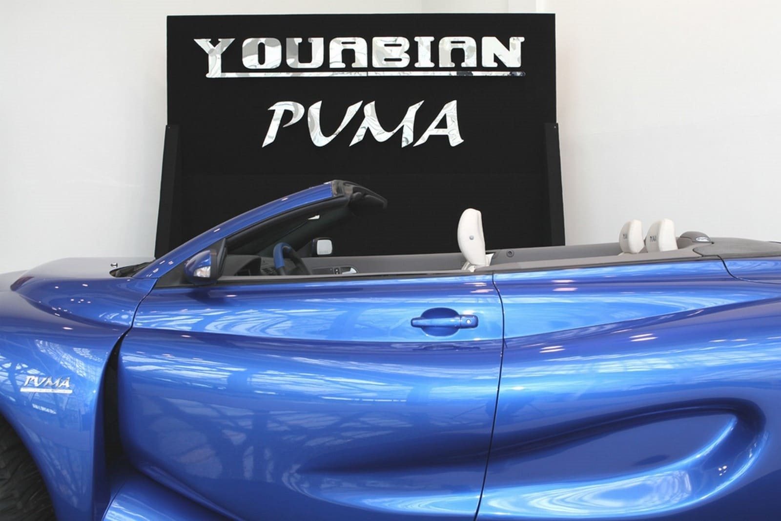 YOUABIAN PUMA, foto 36