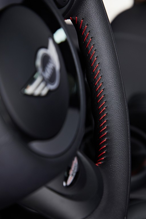 MINI PACEMAN, foto 48