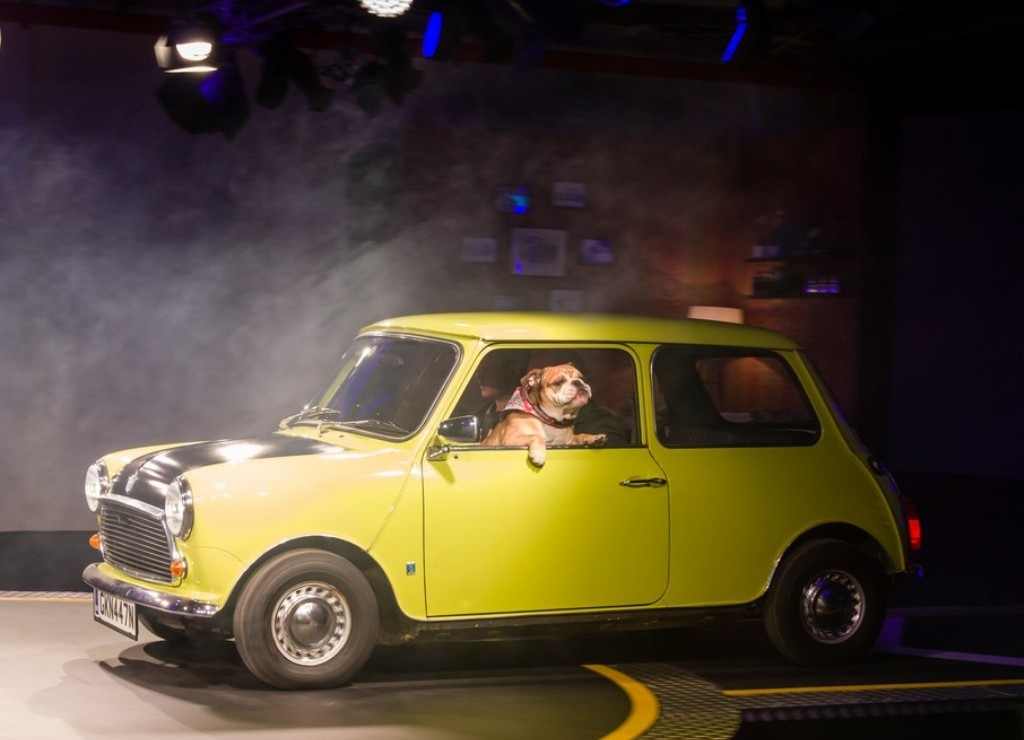 2015 - MINI COOPER, foto 147