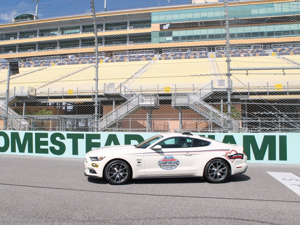 FORD MUSTANG 50-YEAR LIMITED EDITION, foto 2