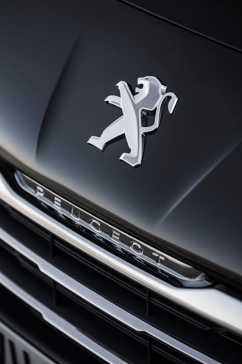 2014 - PEUGEOT 3008, foto 29