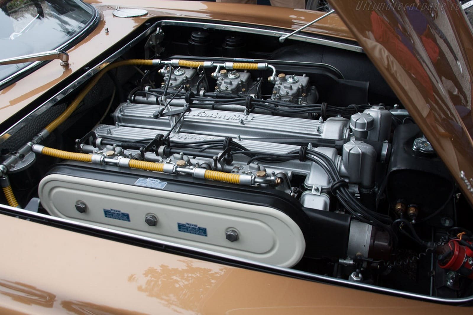 LAMBORGHINI 350 GTS, foto 18