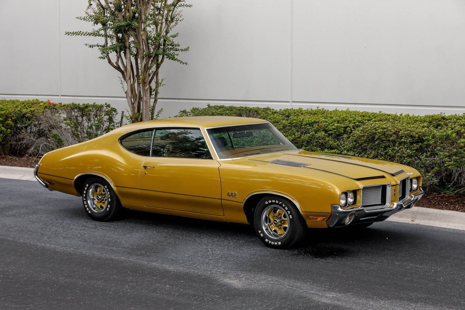 OLDSMOBILE 442 COUPE, foto 5