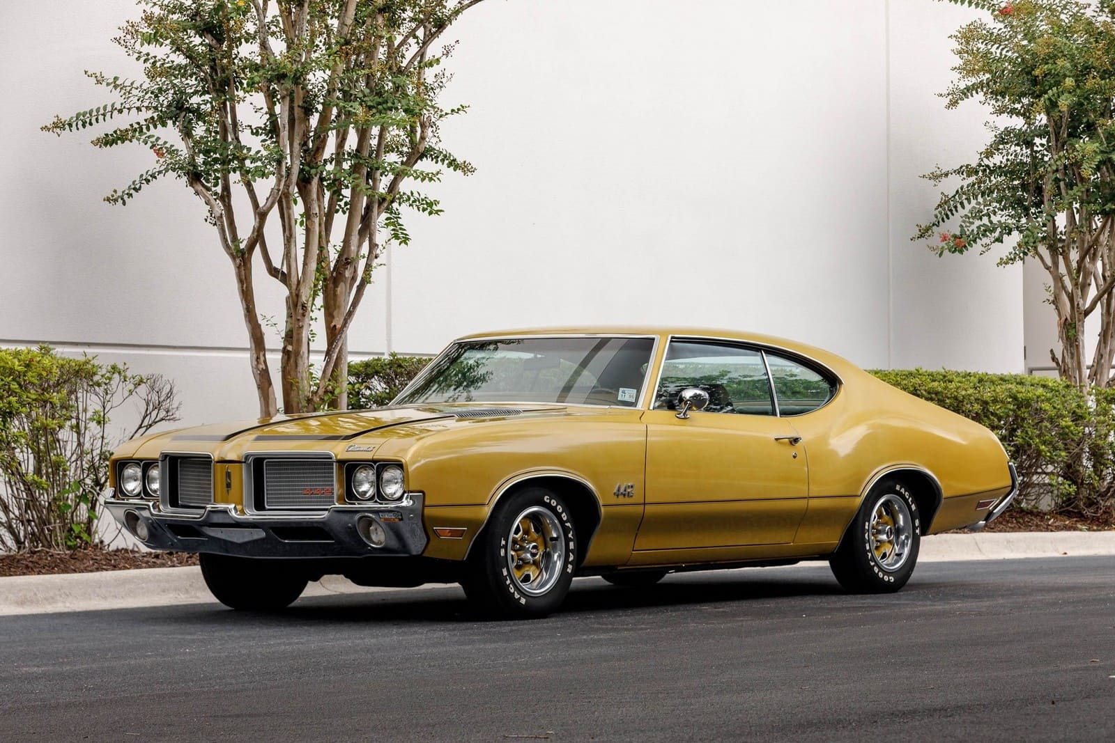 OLDSMOBILE 442 COUPE, foto 8