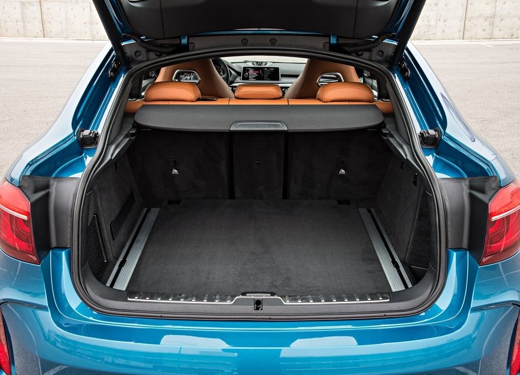 2016 - BMW X6 M, foto 154
