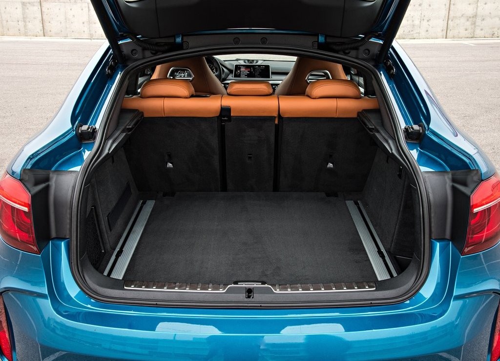 2016 - BMW X6 M, foto 155