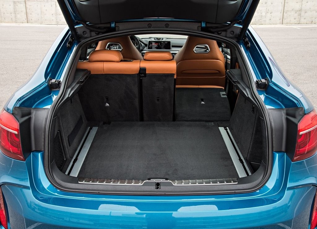2016 - BMW X6 M, foto 157